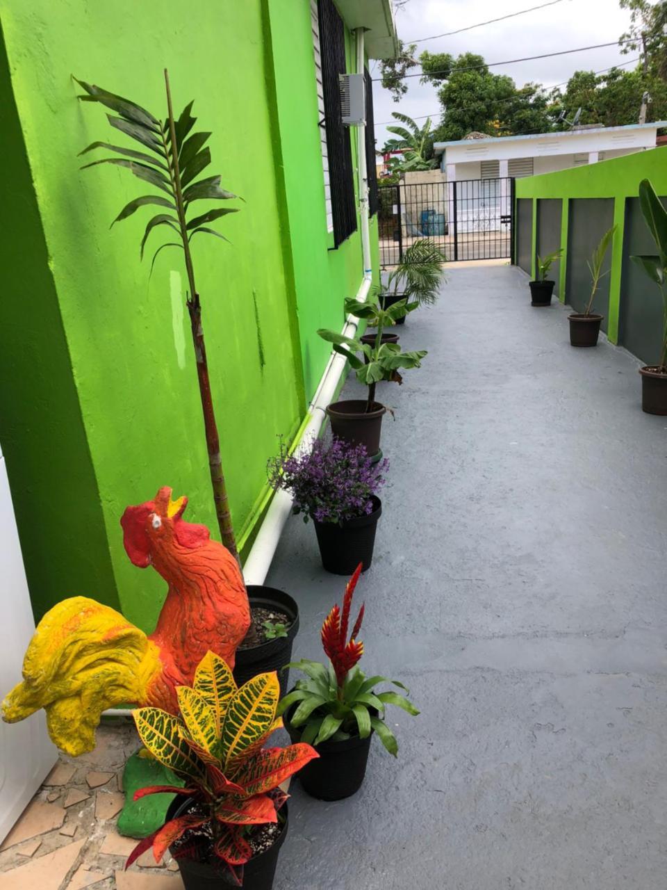 Vieques Good Vibe Guest House 外观 照片